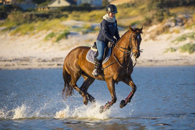 Estce l'équitation est un sport ? www.actucheval.fr